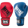 gant-de-boxe-metal-boxe-competition