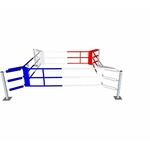 ring_de_boxe_avec_fixation_sol