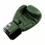 gants_boxe_thai_twins