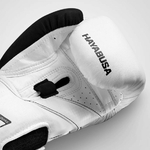 gant-de-boxe-hayabusa-blanc-t3