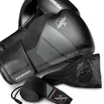 gant-boxe-hayabusa-s4-noir