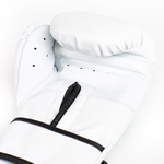 gants-de-boxe-everlast-core