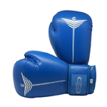 gants-de-boxe-champ-boxing-bleu