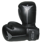 gants-de-boxe-champ-boxing