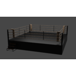 ring-de-boxe-vintage