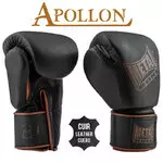 gant-de-boxe-metal-boxe-en-cuir-apollon