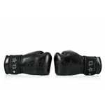 gants-de-boxe-fairtex-booster-noir
