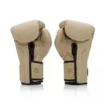 gant-de-boxe-fairtex-serie-limite-f-day