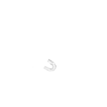 DENTS