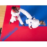 tatami-puzzle-wkf-2