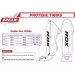 guide-protib-rdx