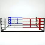 ring-de-boxe-demontable-