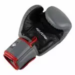gant-de-boxe-twins-bgvl-air-gris