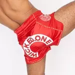 short-kick-thai-wicked-one-herd-rouge