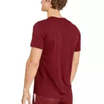 tee-shirt-leone-bordeaux