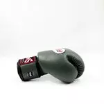 gants-de-boxe-twins-kaki