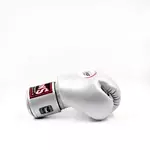 gants-de-boxe-twins-silver