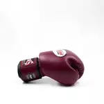 gants-de-boxe-twins-bordeau