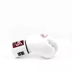 gants-de-boxe-twins-blanc