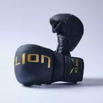 gants-mma-elion