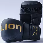 gants-mma-elion-noir
