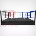 ring-de-boxe-sur-podium-60