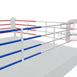 Ring de boxe- zoom sur cordes (couleur)