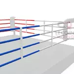 Ring de boxe- zoom sur cordes (couleur)800