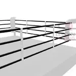 Ring de boxe- zoom sur cordes800
