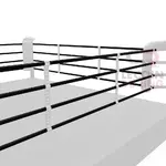 Ring de boxe- zoom sur cordes1000