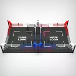 ring-de-boxe-double-4