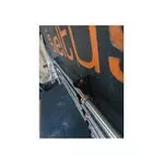 rak-barres-mural-sveltus