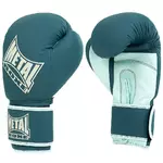 gants-de-boxe-mb200-vert-metal-boxe-mb200dw