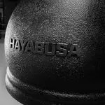 hayabusa-punching-bal