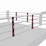 entre-corde-ring-de-boxe-n