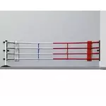 ring_boxe