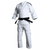 kimono_judo_adidas_j500