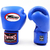 gants-boxe-twins-royal