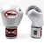 gant-boxe-twins-silver