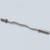 barre-olympique-ez-stop-disques-sveltus-1672