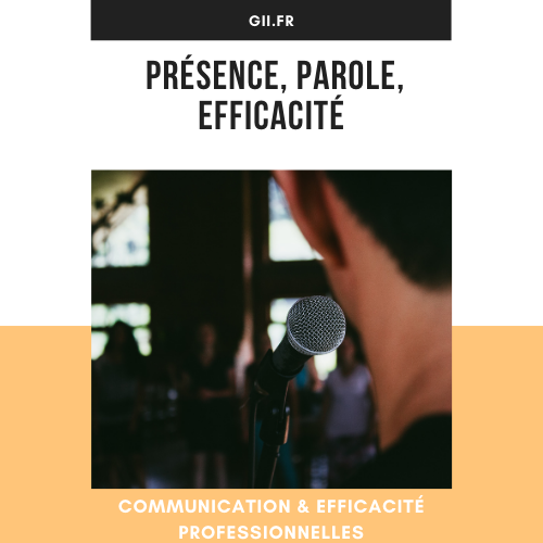 Formation Communication &amp; Efficacité pro-3009