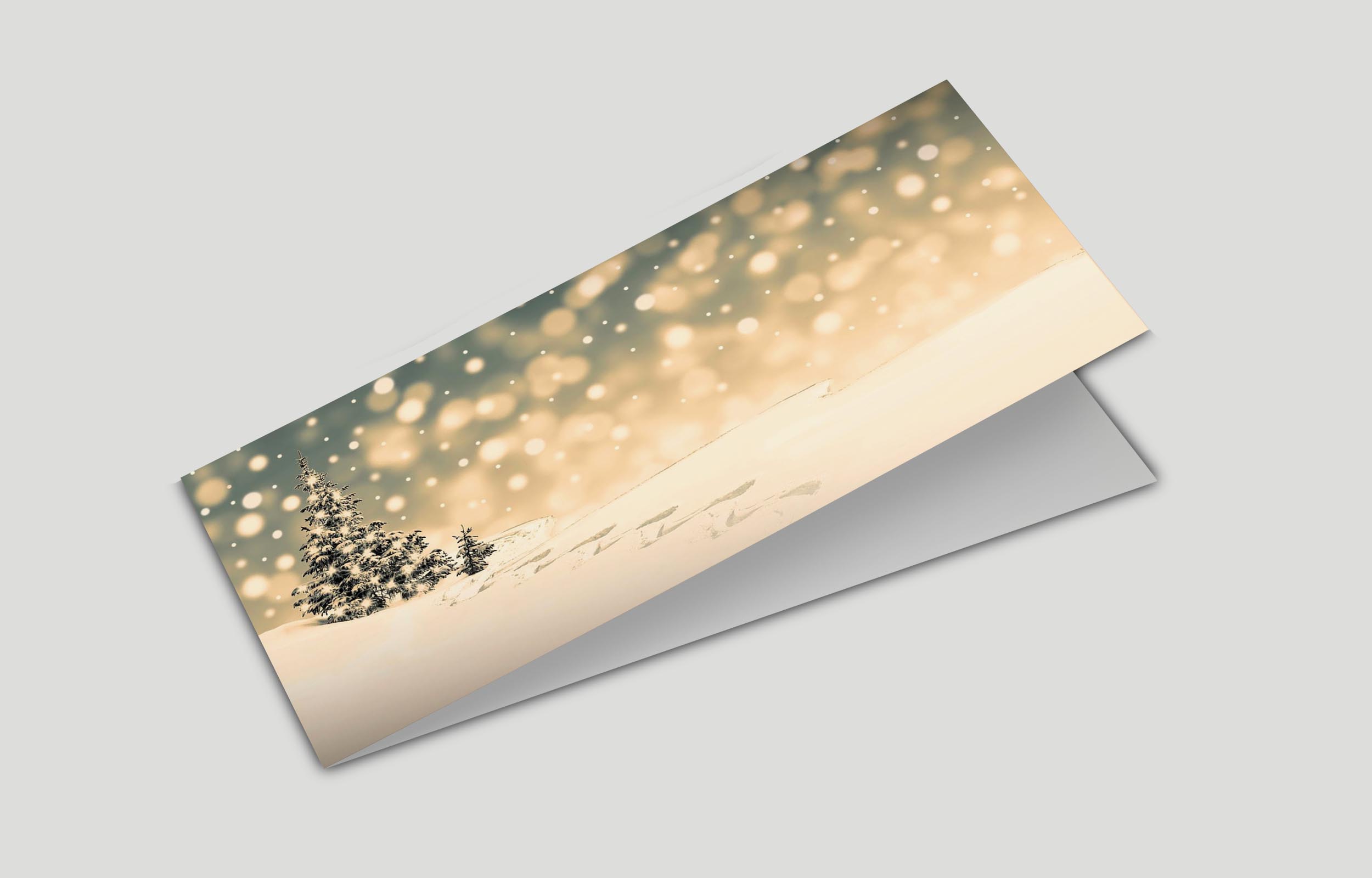 carte voeux-2volets-3