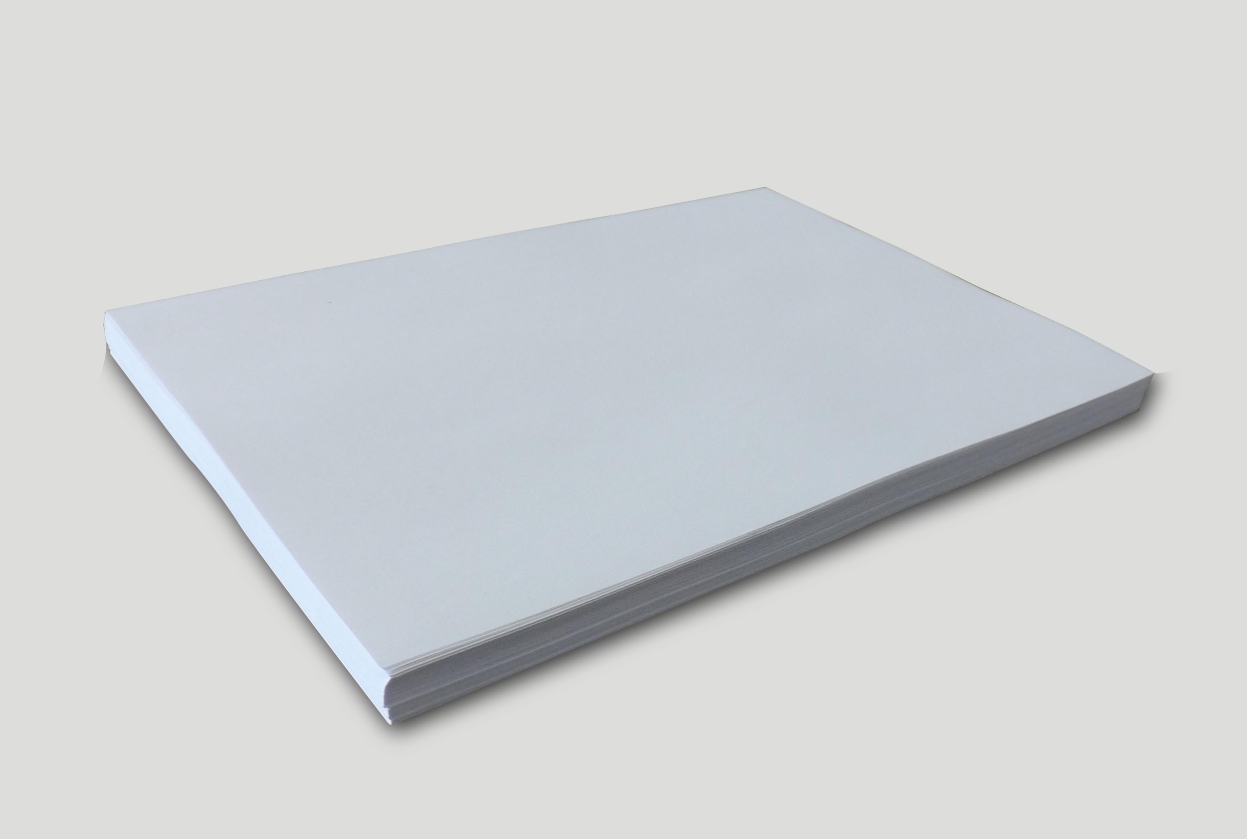 Papier blanc indéchirable A3 - 100 feuilles - Équipements