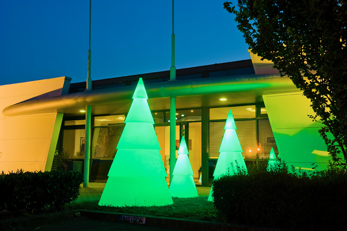sapin vert MAIRIE