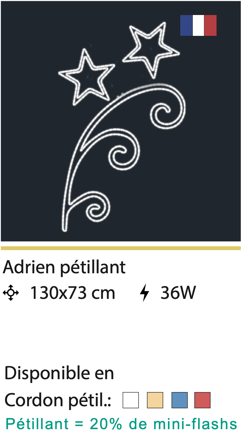 ADRIEN PETILLANT