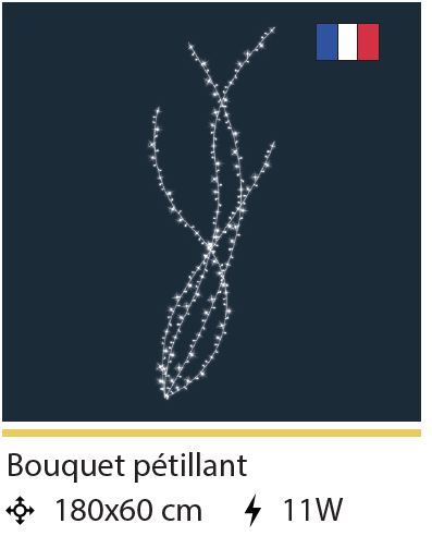 DECOR BOUQUET PETILLANT