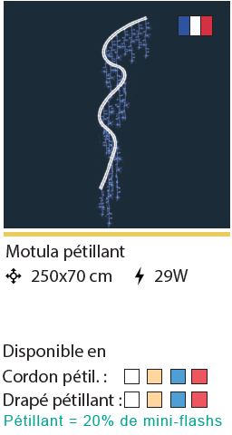 DECOR MOTULA PETILLANT