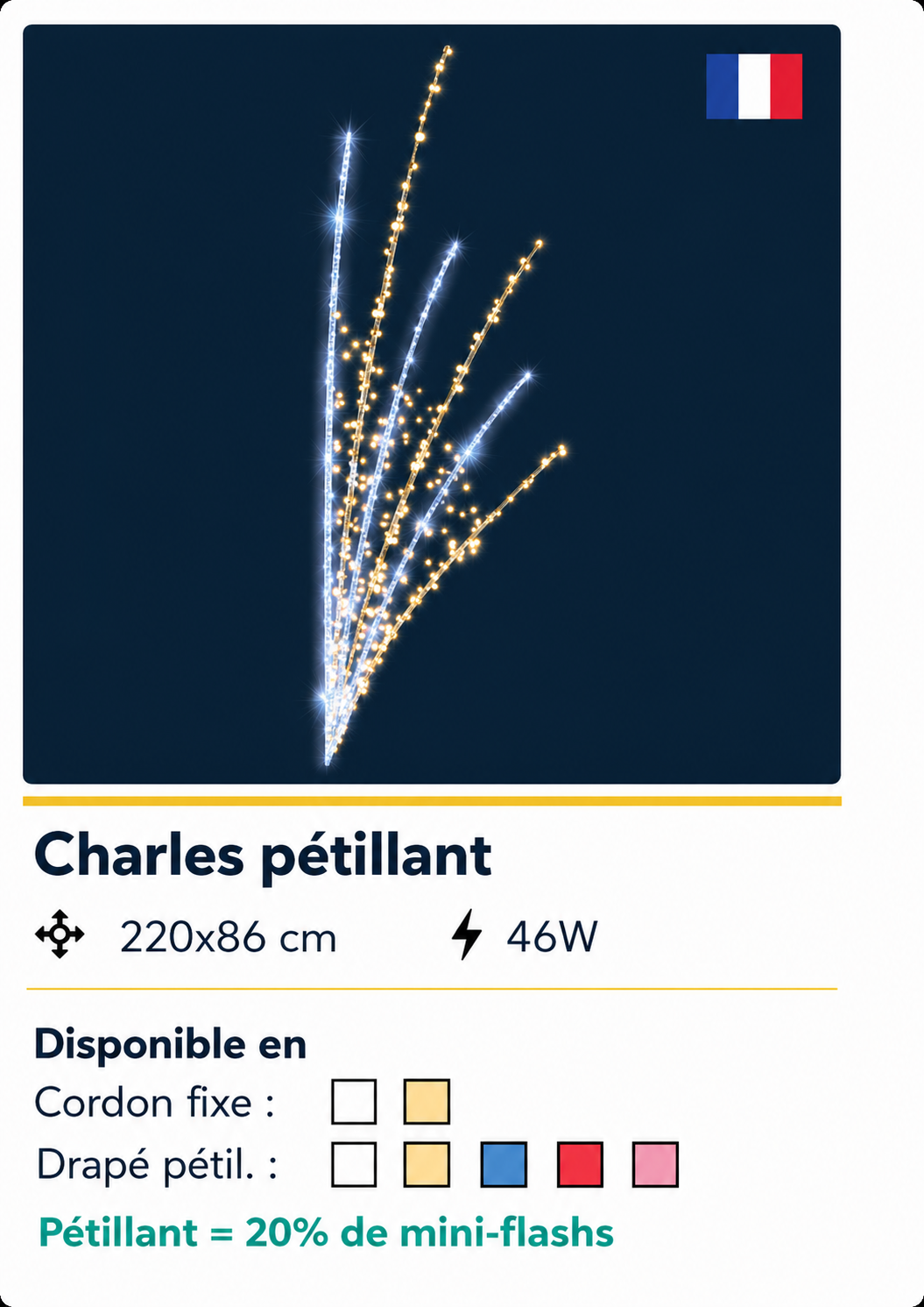 DECOR CHARLES PETILLANT