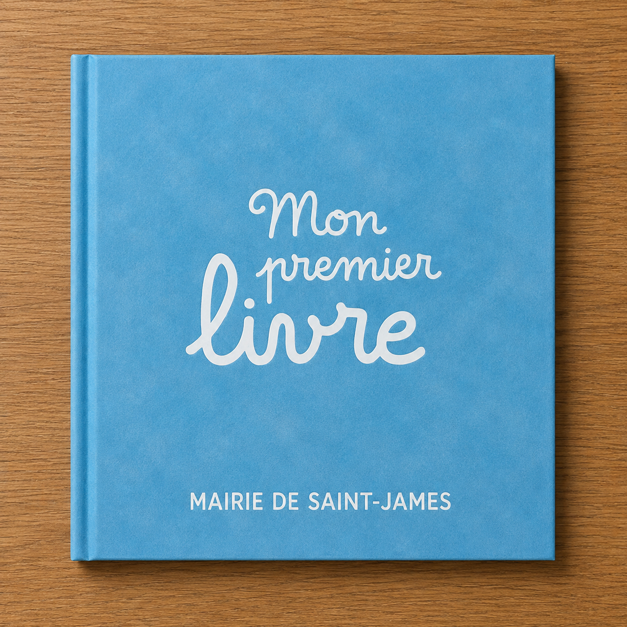 Mon premier livre bleu mairie