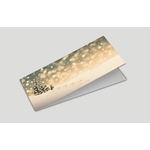 carte voeux-2volets-3